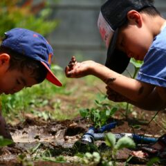 食育には家庭菜園がおすすめ！子どもと野菜を育てるメリットとは？